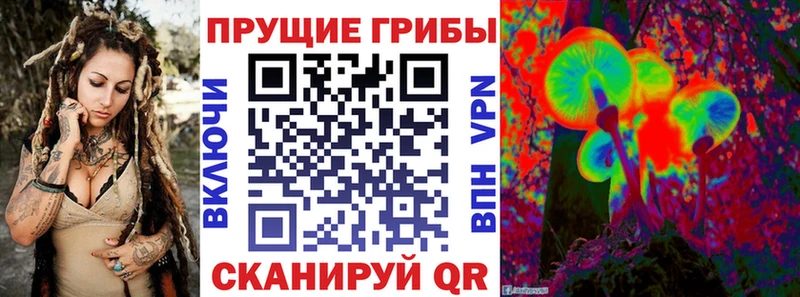 Псилоцибиновые грибы GOLDEN TEACHER  Купить закладки  Кизилюрт 